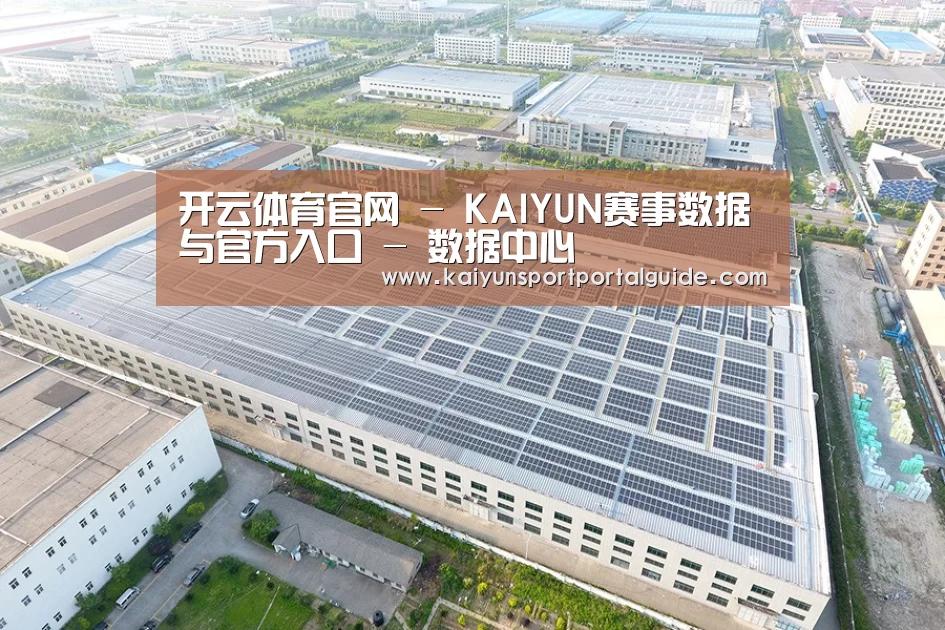 案例展示二
