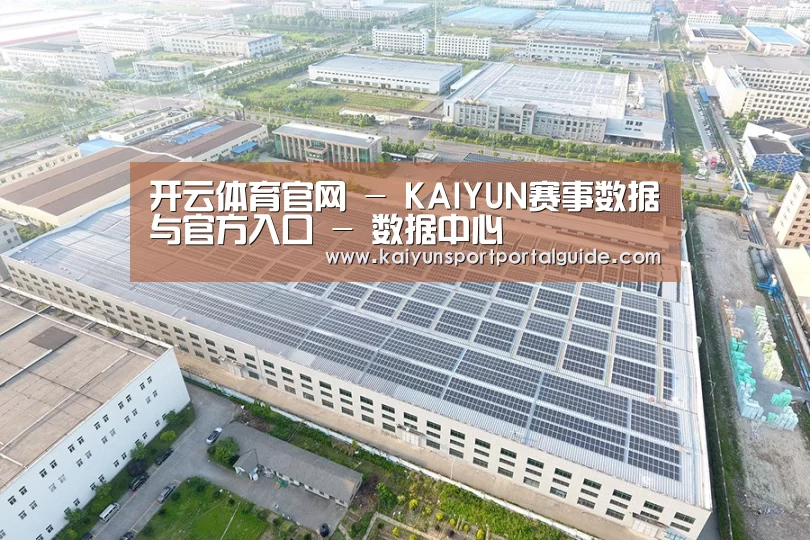 案例展示一