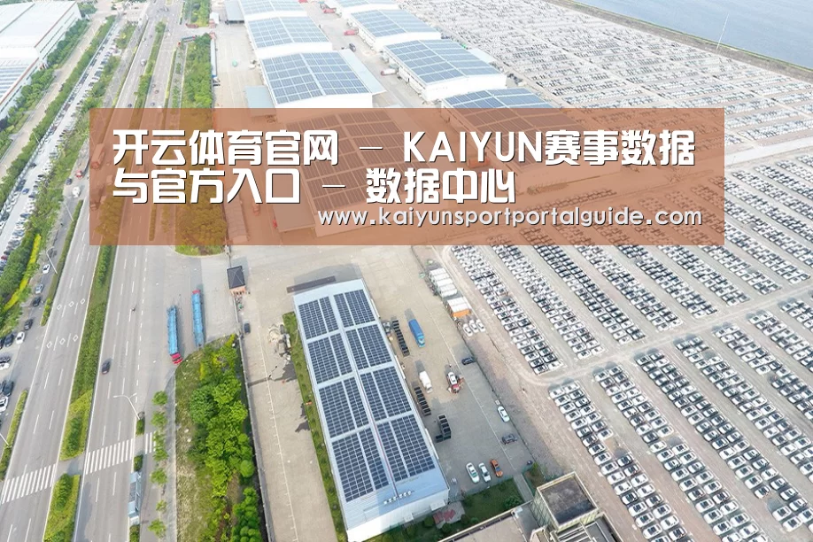 案例展示一