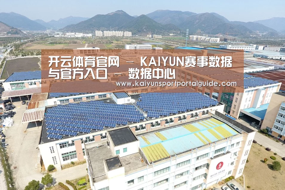 案例展示三
