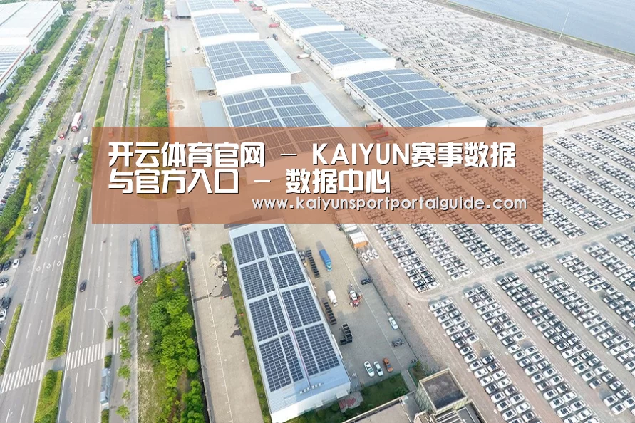 案例展示三