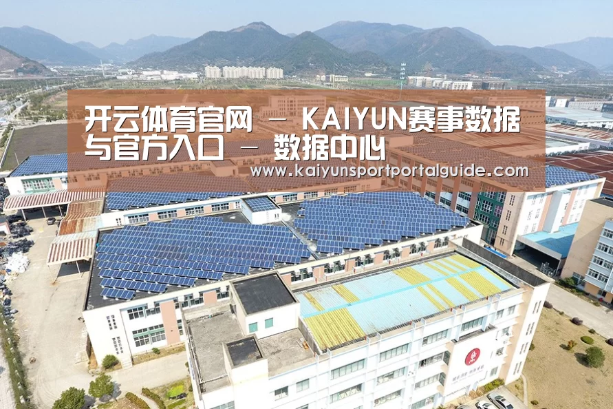 案例展示三
