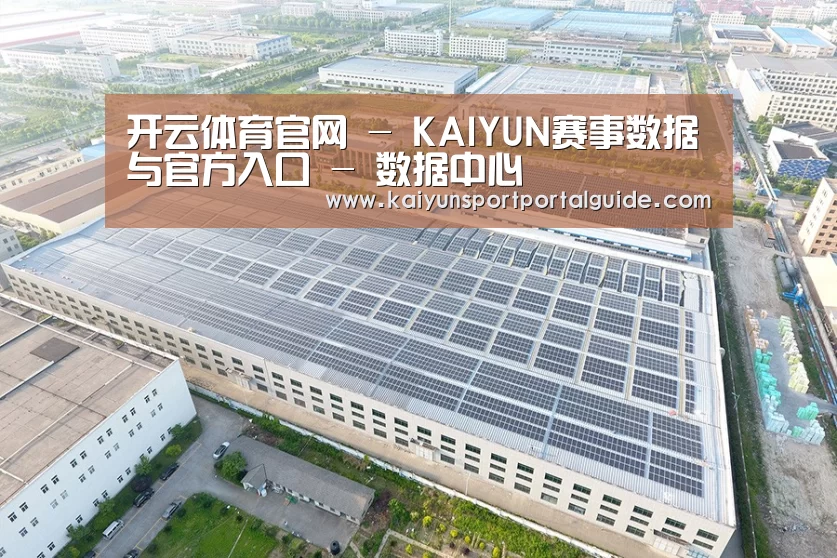 案例展示四